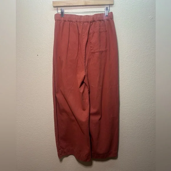 Free People Day in the Life Slouchy Pleated Barrel Burnt Henna Boho Pants XS - Picture 4 of 7